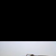 ���������� ������-��-����, ���� ������� �����, 37 ���, ������������ ��� ������, ����� � ���������, c�������� ���������