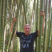  ,   , 62 ,   ,   , c 