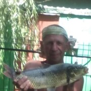  ,   , 58 ,   ,   