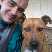 ���������� ���������, ���� ������� �������, 38 ���, ������������ 