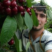  ,   , 30 ,   ,   , c , 