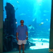 ���������� �������, ���� ������� Vladimir, 50 ���, ������������ ��� ������