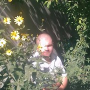  ,   , 39 ,     , c 