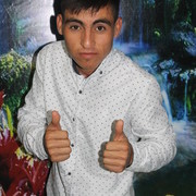 ���������� ������, ���� ������� ���� �����, 33 ����, ������������ ��� ����� � ���������, c�������� ���������