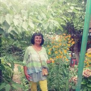  ,   , 61 ,   ,   