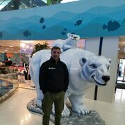 ���������� ������, ���� ������� ����, 41 ���, ������������ ��� ������