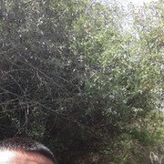 ���������� �������, ���� ������� Ruslan, 32 ����, ������������ ��� ������, ����� � ���������, c�������� ���������