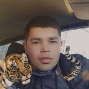 ���������� ���������, ���� ������� ����, 33 ����, ������������ ��� ������, ����� � ���������, c�������� ���������, ���������