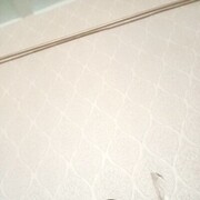 ���������� ����������, ���� ������� �����, 50 ���, ������������ ��� ����� � ���������