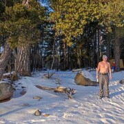 ���������� ������, ���� ������� �����, 44 ����, ������������ ��� ������, ����� � ���������