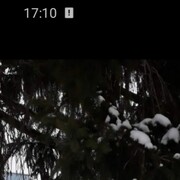 ���������� ��������, ���� ������� ������, 46 ���, ������������ ��� c�������� ���������