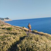  ,   , 31 ,   ,   , c , 