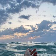 ���������� ������, Serotonine