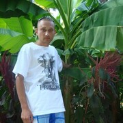 ���������� �����, ���� ������� ���������, 46 ���, ������������ ��� ������, ����� � ���������, c�������� ���������