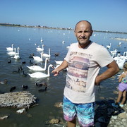 ���������� ����, ���� ������� ���������, 55 ���, ������������ ��� ������, ����� � ���������, c�������� ���������