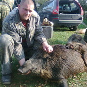 ���������� ���������, ���� ������� ������, 45 ���, ������������ ��� ������