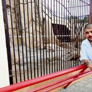 ���������� �����, ���� ������� �����, 39 ���, ������������ ��� ������, ����� � ���������, c�������� ���������