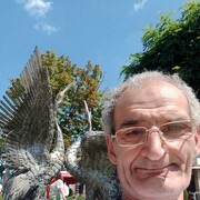  --,   Vart, 61 ,   ,   