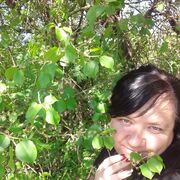 ���������� �����������, ���� ������� �����, 40 ���, ������������ ��� c�������� ���������, ���������