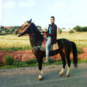 ���������� ������, ���� ������� Rachid, 30 ���, ������������ ��� ������, ����� � ���������, c�������� ���������