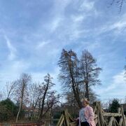  Hillegersberg,   , 61 ,   