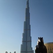 ���������� �������, ���� ������� Ali, 38 ���, ������������ ��� ������