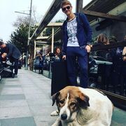 ���������� ����, ���� ����� �����, 23 ����, ������������ ��� ������, ����� � ���������, c�������� ���������