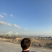 ���������� �����-���������, ���� ������� ���������, 35 ���, ������������ ��� ������, ����� � ���������, c�������� ���������