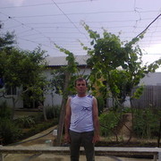 ���������� �����������, ���� ������� ����, 58 ���, ������������ ��� ������