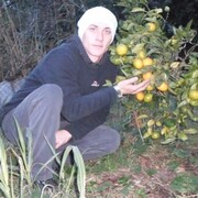  ,   , 32 ,   , 