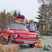  ,   , 50 ,   ,   , 