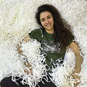 ���������� ����-�������, ����