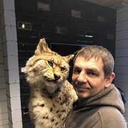 ���������� �������, ���� ������� ������, 46 ���, ������������ ��� ������, ����� � ���������, ���������