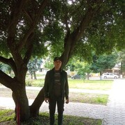 ���������� �������, ���� ������� ��������, 38 ���, ������������ ��� ������, ����� � ���������