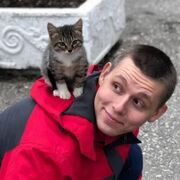 ���������� �����, ���� ������� �����, 31 ���, ������������ ��� ������, ����� � ���������, c�������� ���������, ���������