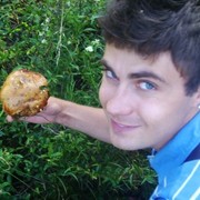 ���������� ����, ���� ������� �����, 38 ���, ������������ ��� ������, ����� � ���������, c�������� ���������, ���������