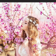 ���������� �����-���������, ���� ������� ������, 20 ���, ������������ ��� ����� � ���������, ���������