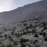 ���������� �������, ���� ������� A����, 39 ���, ������������ ��� ������, ����� � ���������, c�������� ���������, ���������