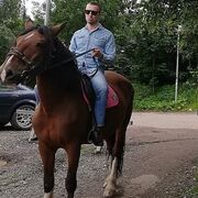 ���������� ������, ���� ������� �������, 39 ���, ������������ ��� ������, ����� � ���������