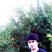  ,   , 31 ,   ,   , c 