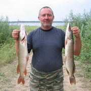  ,   , 59 ,   
