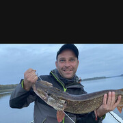 ���������� �����, ���� ������� ����, 38 ���, ������������ ��� ������, ����� � ���������, c�������� ���������