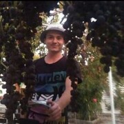 ���������� ������, ���� ������� ����, 28 ���, ������������ 