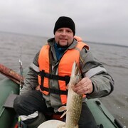 ���������� ������, ���� ������� ������, 43 ����, ������������ ��� ������, ����� � ���������, c�������� ���������