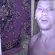  ,   Narcis37, 50 ,   