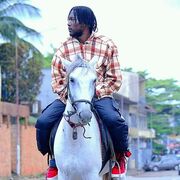 ���������� �����-���������, ���� ������� �����, 28 ���, ������������ ��� ������, ����� � ���������