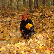 ������  ....