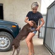 ���������� ������, ���� ������� �����, 40 ���, ������������ ��� c�������� ���������