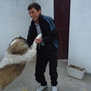 ���������� ������, ���� ������� Almaz, 50 ���, ������������ ��� ������, ����� � ���������, c�������� ���������