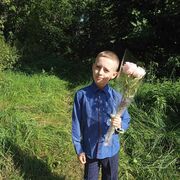 ���������� ���, ���� ������� ���������, 37 ���, ������������ ��� ������, ����� � ���������